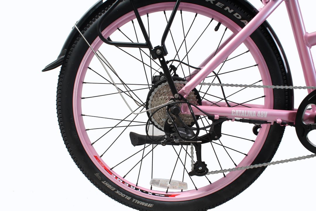 Electric Transportation