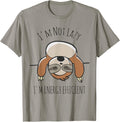 Sloth Lover | I'm Not Lazy I'm Energy Efficient Shirt