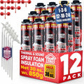 Spray Foam Insulation Can (30 oz. / 850 g)